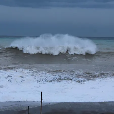 I Cardellini Маскали